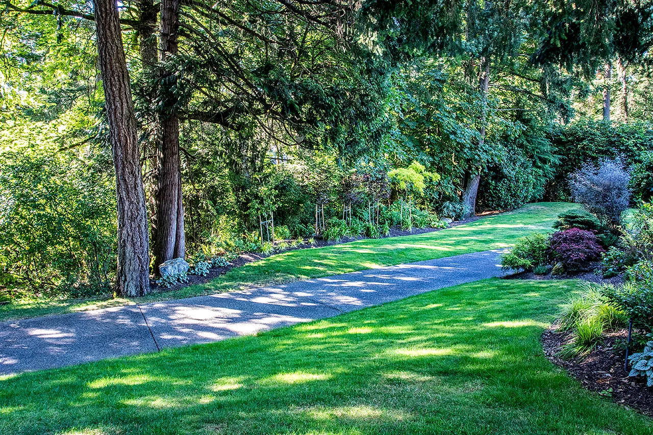 Woodland-Inspired Garden Design with Native Plants & Deer